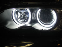 umnitza Predator Chromium Angel Eyes